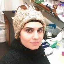 zehra_yildiz
